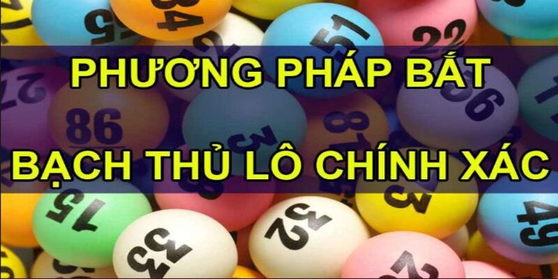 Bắt bạch thủ lô - Soi cầu siêu chuẩn từ bậc thầy Tài Xỉu 4 Lưu ý khi bắt bạch thủ lô để giảm rủi ro