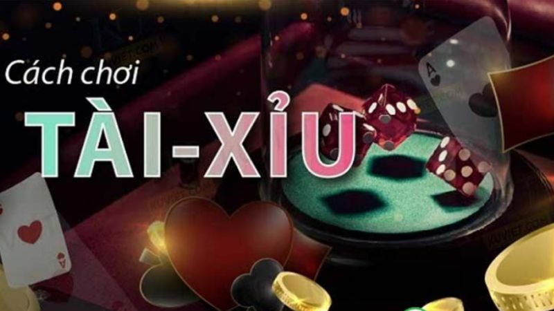 Cược Tài Xỉu đôi – Trải nghiệm cá cược khác biệt tại Tài Xỉu 3 Một vài cách chơi cơ bản của game