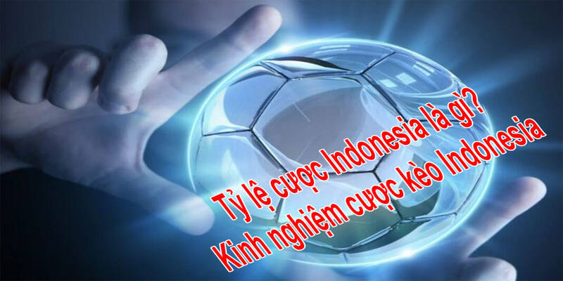 Hướng dẫn đọc tỷ lệ kèo Indonesia chi tiết cùng Tài Xỉu 2 Tỷ lệ kèo Indonesia cho dân cược chuyên nghiệp