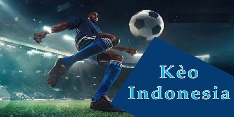 Hướng dẫn đọc tỷ lệ kèo Indonesia chi tiết cùng Tài Xỉu 4 Mẹo cược kèo Indonesia tăng lợi nhuận hiệu quả
